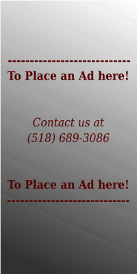 Repair and Sales of Import cars in Albany NY | Page introduction | Call 518 689 3086 to place an ad here