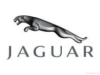 Repair and Sales of Import cars in Albany NY | Page introduction | Jaguar logo image